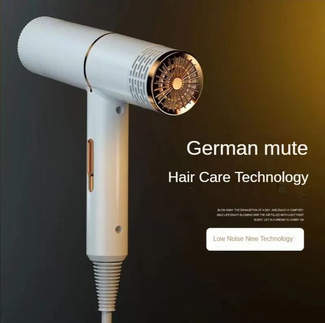 Professional Anion Hair Dryer